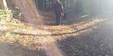 Nature Walks: Science-Backed Stress Reduction in 30 Minutes Daily - Cover Image