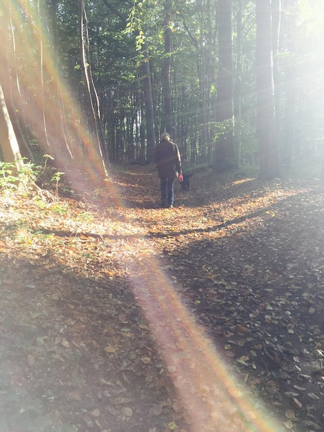 Nature Walks: Science-Backed Stress Reduction in 30 Minutes Daily