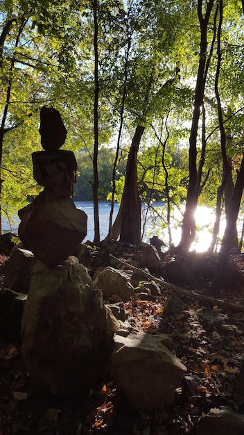 A person practicing yoga in a serene outdoor setting, with sunlight filtering through the trees. The image conveys peace, mindfulness, and physical well-being.