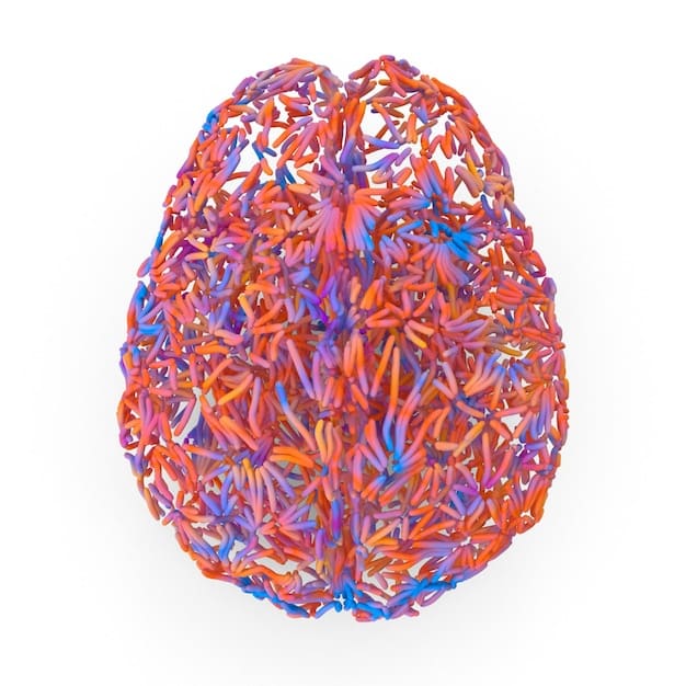 A detailed illustration of the suprachiasmatic nucleus (SCN) in the brain, with arrows indicating its connection to various bodily functions like hormone release, body temperature regulation, and sleep-wake cycles.