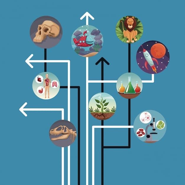 A flow chart illustrating the process of cognitive restructuring in CBT, showing the steps from identifying negative thoughts to reframing them into more positive and realistic ones.