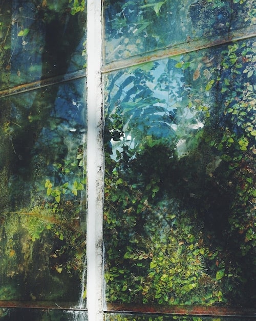 A split-screen image contrasting a busy urban street with a serene forest path, visually representing the stress-reducing environment of nature compared to the stressors of urban life.