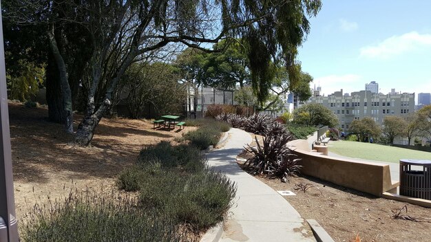 A detailed view of a city park with well-maintained walking paths, diverse plant life, benches, and people exercising and enjoying the space. Show the balance between urban development and green spaces, emphasizing the thoughtful integration of nature within the city.