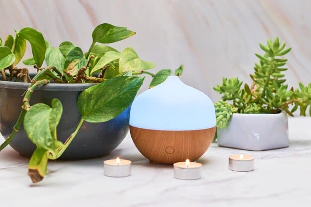 A close-up of a diffuser emitting essential oil vapor in a dimly lit room, with a small succulent plant and a smooth stone in the background. The focus is on creating a sense of calm and aromatherapy.