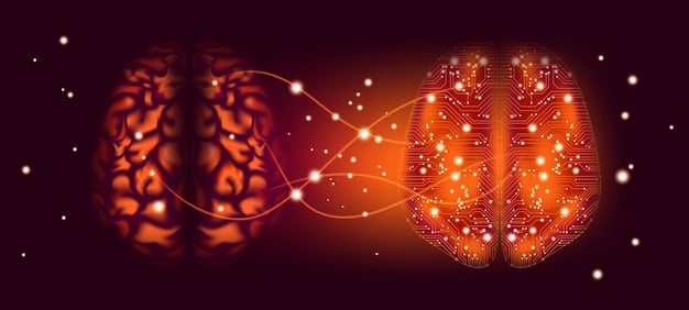 A detailed illustration of the human brain, highlighting the suprachiasmatic nucleus (SCN) and its connection to various bodily functions regulated by circadian rhythms.